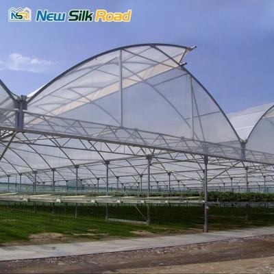 China Steel Plastic Film Greenhouse with Hot Galvanized Steel Pipe Material and Ventilation for sale