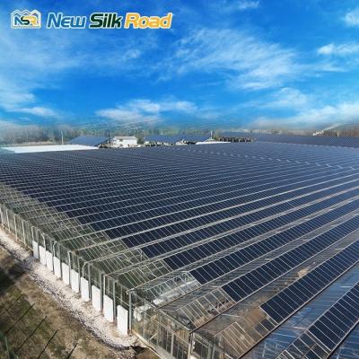 China Hydroponic Solar Glass Greenhouse for Plant Steel Galvanized Steel Easy to and Maintain for sale