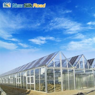 China Multi-Span Agricultural Greenhouse with Hot Dip Galvanized Steel Frame and Ventilation for sale