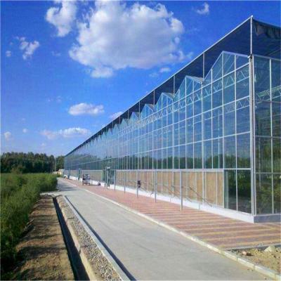 China Optimal Ventilation in Venlo Type Greenhouse for Hydroponics/Strawberry/Vegetables for sale