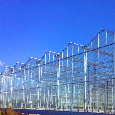 China Large Glass Greenhouse with Soilless Culture and Automatic Hydroponic Drip Irrigation for sale