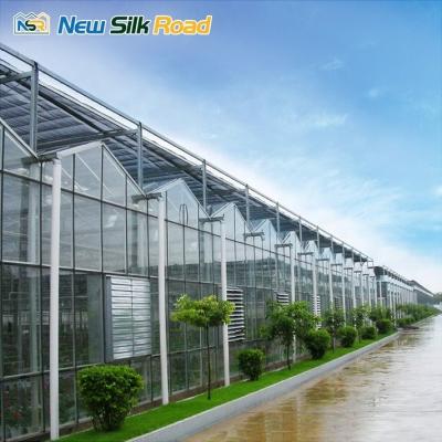 China Turnkey Hydroponic Multi-span Agricultural Glass Greenhouse with Tempered Glass Cover for sale