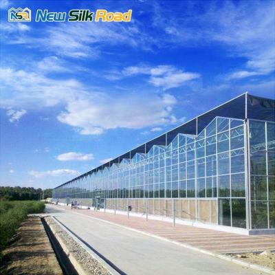 China Tempered Glass Multi-span Agricultural Greenhouse for Vegetable and Flower Planting for sale