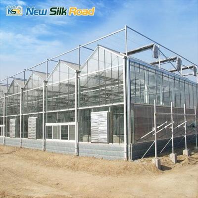 China Hydroponic Agriculture Large Venlo Glass Greenhouse Kits with Galvanized Steel Frame for sale