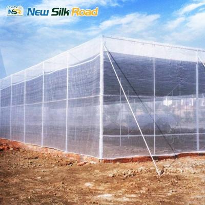 China Large/Small Sizes HDPE Agricultural Insect Net Greenhouse with Galvanized Steel Frame for sale