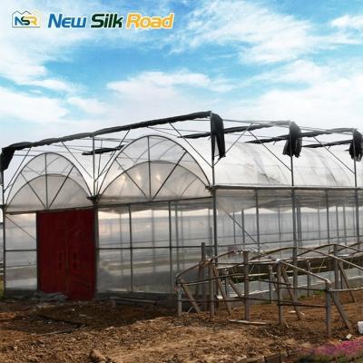 China Galvanized Steel Double-Layer Greenhouse for Hydroponic Winter Agriculture Solution for sale