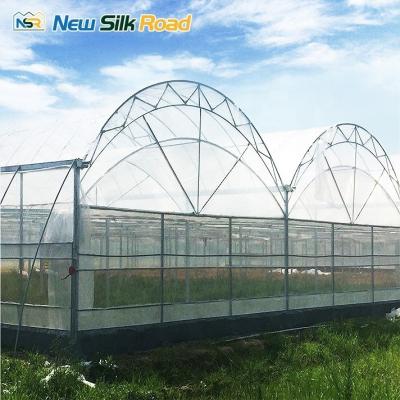 China Large Economical Plastic Agricultural Greenhouse Double Single Layer Hot Dip Galvanized Steel Frame Plant Use PE ETFE Material for sale