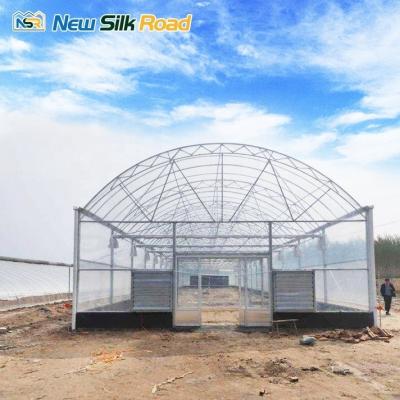 China Economic Large Double Layer Agricultural Greenhouse with Galvanized Steel Frame Poly Tunnel Greenhouse for Plants Low Cost for sale