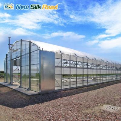 China Galvanized Steel Frame Single-Span Agricultural Greenhouse with PE/Poly Film Cover for sale