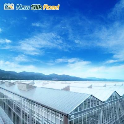 China Top Height 4.5m-7.5m Glass Greenhouse Energy-saving Solution for Sunroom and Agro for sale