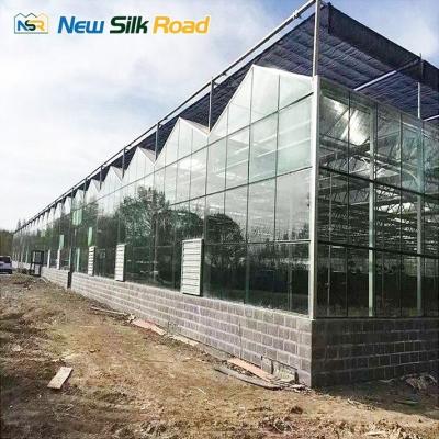 China Indoor Outdoor Glass Greenhouse for Flower and Vegetable Growing Top Height 4.5m-7.5m for sale