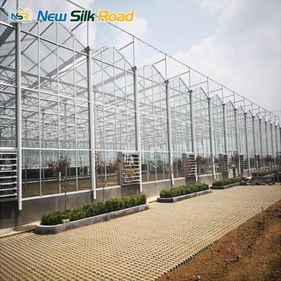 China Large Photovoltaic Solar Greenhouse Fans Customized Length for Optimal Agro Product Growth for sale