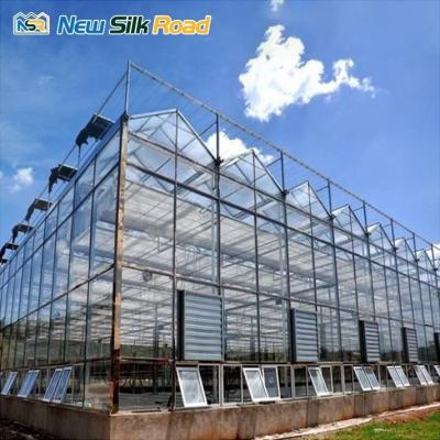 China Agricultural Greenhouse Venlo Luxury Vintage Garden Greenhouse Large Glass Greenhouse for Agro for sale