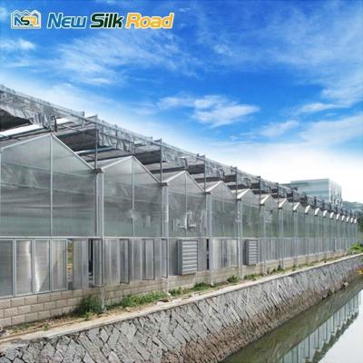 China Multi-Span Agricultural Greenhouses for Agro Polycarbonate Cover and Aluminium Frame for sale