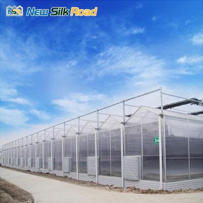 China Lowes Sunrooms Polycarbonate Panel Garden Sun Room with Hot Dip Galvanized Steel Structure for sale