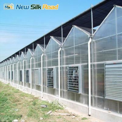 China Spray Irrigation Commercial Greenhouse with Polycarbonate Frame and Waterproof Design for sale