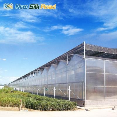 China polycarbonate roof panel aluminium green house garden greenhouses luxury steel and glass houses solar greenhouse for agro for sale