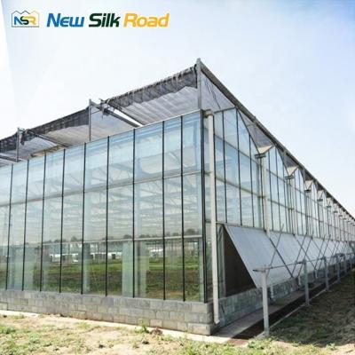 China golden supplier glass green house greenhouses decorate sunroom glass sunroom panels glass greenhouse for agro for sale