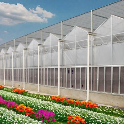 China china manufacturer agricultural greenhouses green house polycarbonate garden greenhouse polycarbonate green house for agro for sale