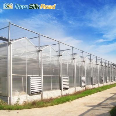 China transparent polycarbonate greenhouse 10mm polycarbonate greenhouse indoor growing systems agriculture greenhouse for sale for sale