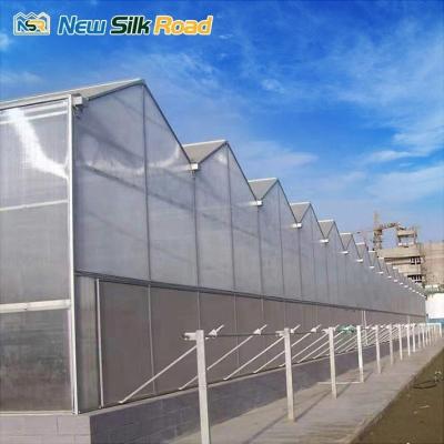 China Backyard Agricultural Greenhouse with and Durable Aluminium-Polycarbonate Construction for sale