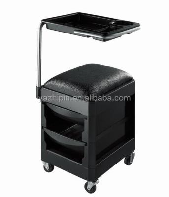 China New Product Modern Trolley Salon Plastic Trolley Trolley Cart Equipment for sale