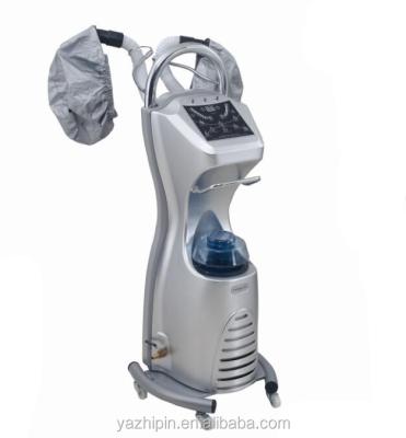 China Modern Multifunctional Standing Type Hair Steamer Dryer for sale