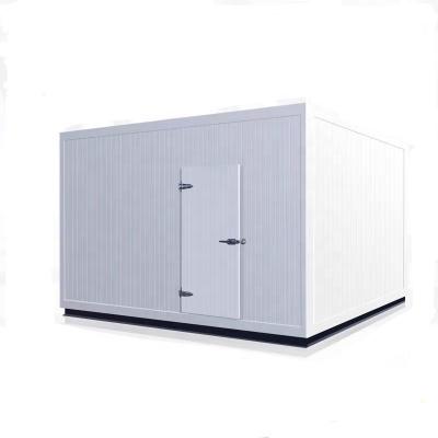 China Meat.Frozen Foods Cheap Price Medical Cold Storage Cold Room Refrigeration For Sale for sale