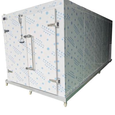 China Container Container Size Movable Portable Cold Storage Room for sale