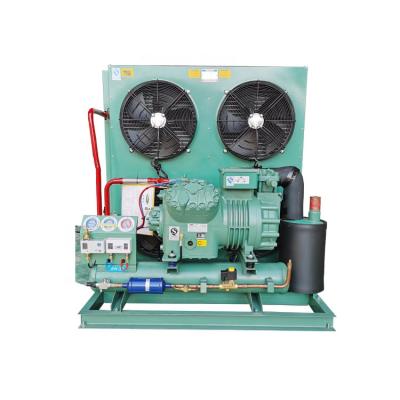 China Refrigeration Parts R404a R134a R507a Refrigerant Industrial Refrigeration Units Condensing Cooling Equipment For Blast Freezer Cold Room for sale