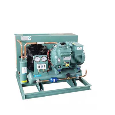 China Refrigeration Parts 3hp 5hp 6hp 10hp Air Cooled Compressor Walk In Refrigeration Unit Air Cooled Condenser Unit for sale