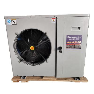 China Cold Storage / Box Shaped Cold Room /Chiller 2hp/3hp/4hp/5hp Condensing Unit Fitting With Fruit And Vegetable Cold Room for sale