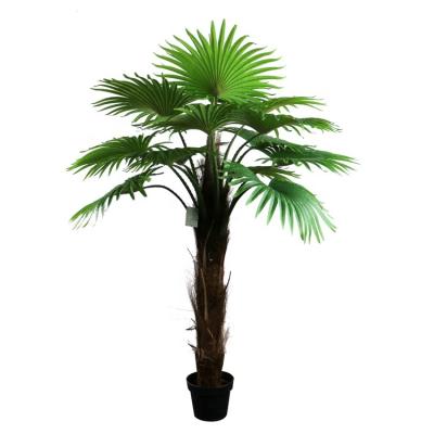 China Art Decor 150cm High Fan 15lvs Artificial Palm Tree Wholesale for sale