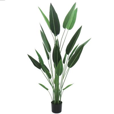 China Art Decor 5ft high artificial canna plant with plastic pot for landscape decoration for sale