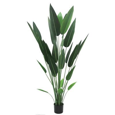 China Art Decor 6ft high fake canna plant with plastic pot for stage decoration for sale