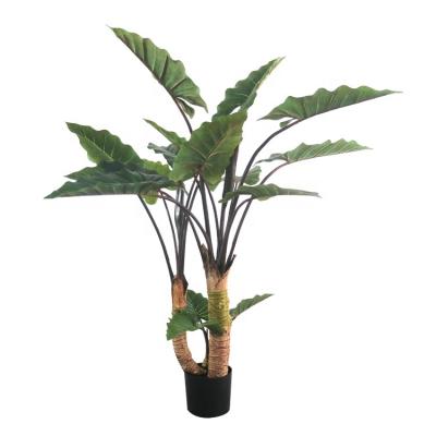 China Art Decor Garden Decorative real touch artificial taro plant tree with pot for export for sale