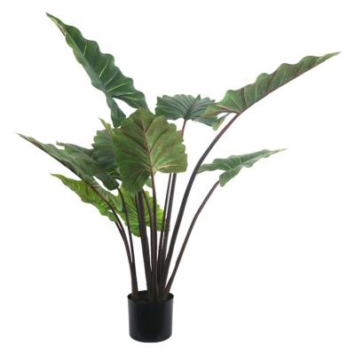 China Factory direct sale high quality environmentally friendly artificial esculenta plants plastic taro plants from colocasia for sale