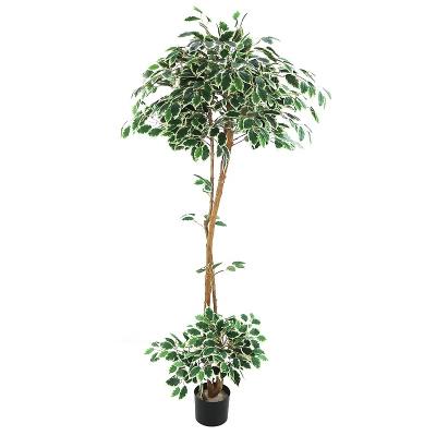 China Art Decor 6ft Tall Variegated Ficus Tree Topiary Artificial in Plastic Pot for Home Decoration for sale