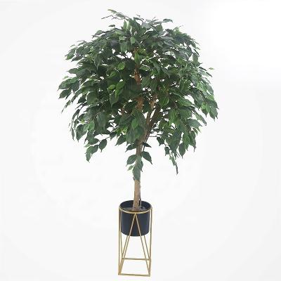 China Art Decor 4ft High UV Resistance Artificial Ficus Topiary Tree Used For Stage Decoration for sale