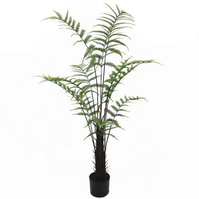 China Art Decor 5ft Tall Realistic Fern Tree For Garden Decoration for sale