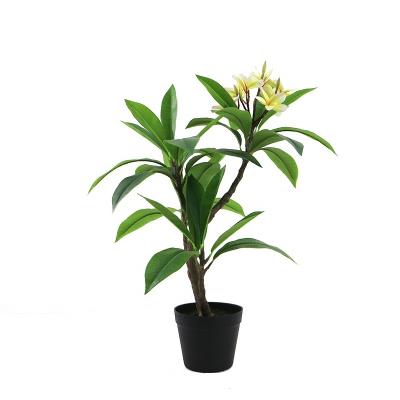 China Art Decor 70cm High Fake Frangipani Flowering Tree For Landscape Decoration for sale