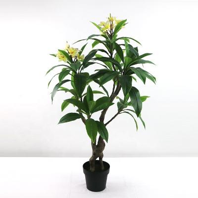 China Art Decor Good Quality Faux Frangipani Plant Indoor Decorative Tree for sale