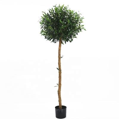 China Art Decor 160cm Artificial Round Ball High Shape Olive Tree For Home Decoration for sale