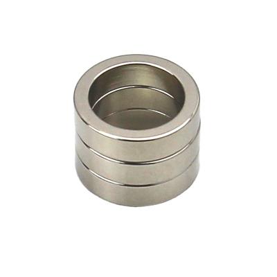 China High Level Industrial Neodymium Magnet Multipole Magnet Around Magnetic Ring for sale