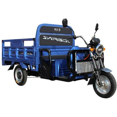 China Hot And Customizable 1000W Three Wheel Electric Cargo Bike For Passenger And Cargo for sale