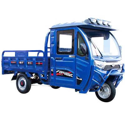 China Cargo Passenger And Electric Cargo Tricycle Cabin Enclosed Drive For Adult for sale