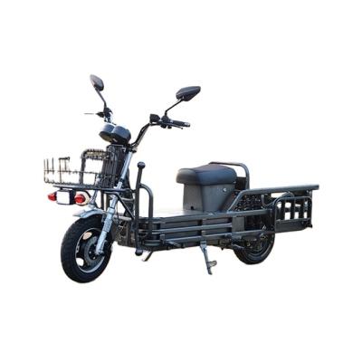 China Express Delivery Unisex Cargo Electric Bicycle With Front And Rear Shelves Two Wheel Electric Bicycle for sale