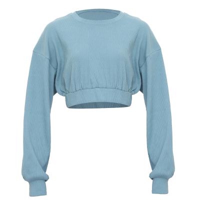 China Cotton Sexy Long Sleeve Crop Fitness Sports Fashion QUICK DRY Women's Leisure Top Sweater for sale