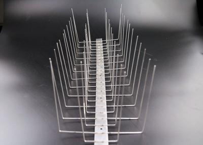 China High Quality Stainless steel 304 Control Bird Spikes On Sale for sale