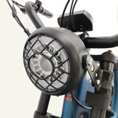 China Aluminum alloy fat tire electric bike with front LED light 1000w big motor snow ebike for sale